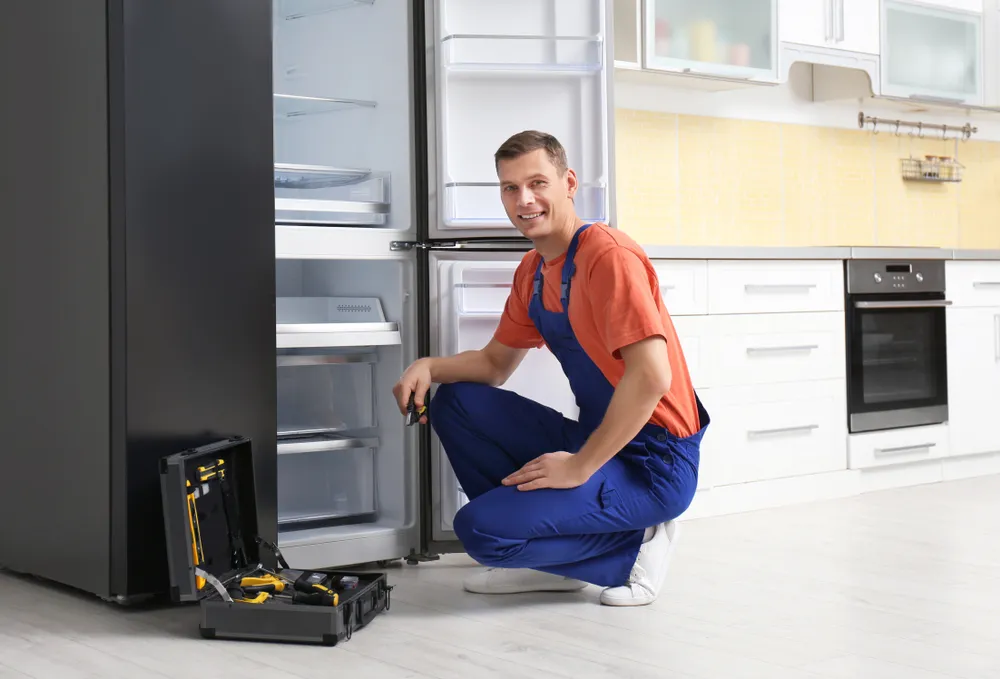 Tire Whirlpool buzdolabı servisi teknisyen